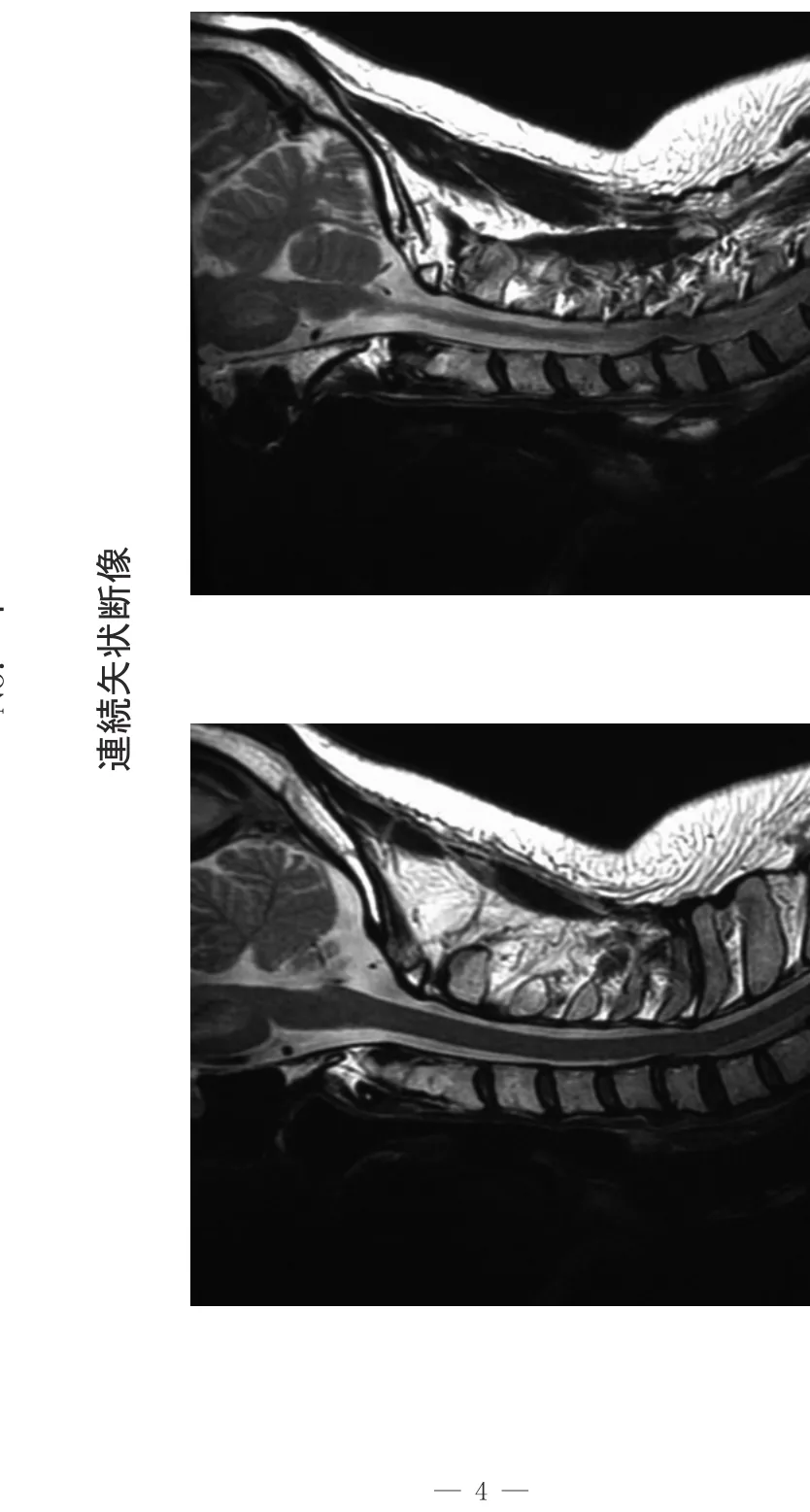 問題の図