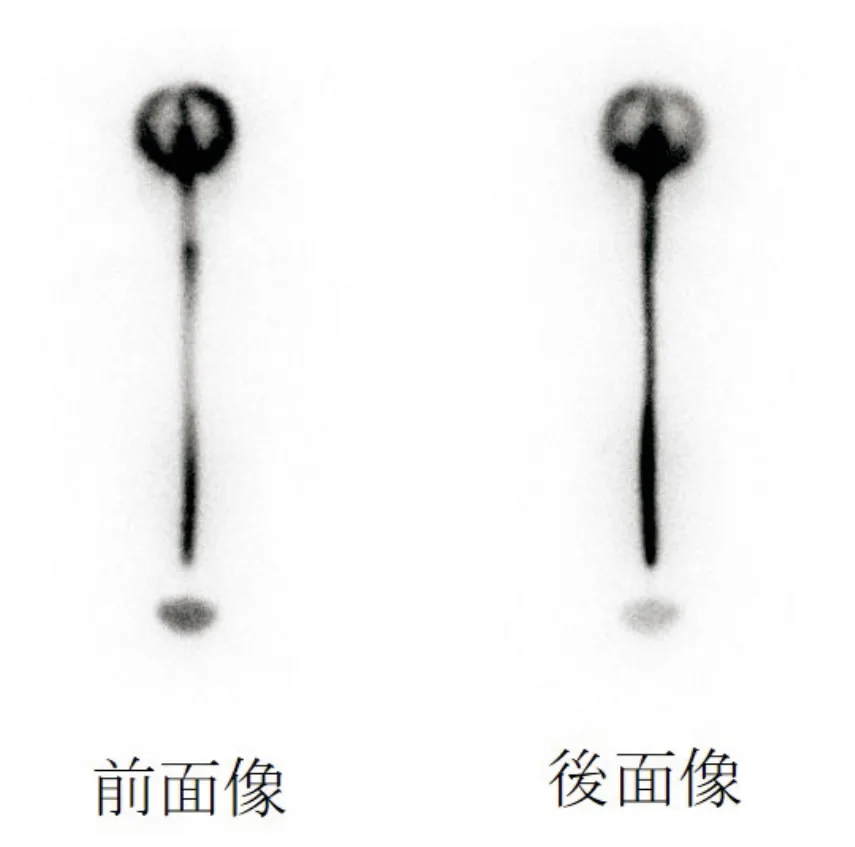 問題の図
