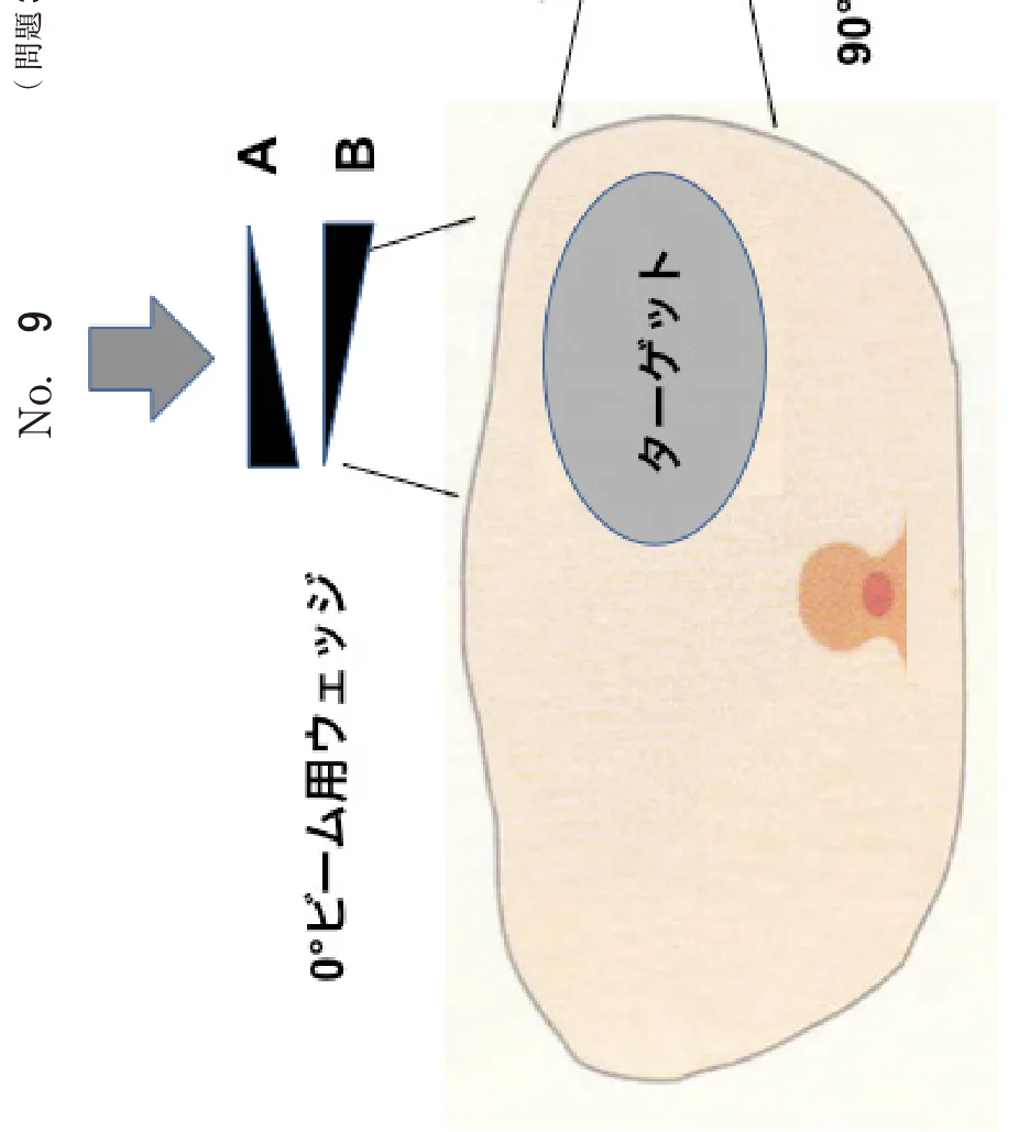問題の図