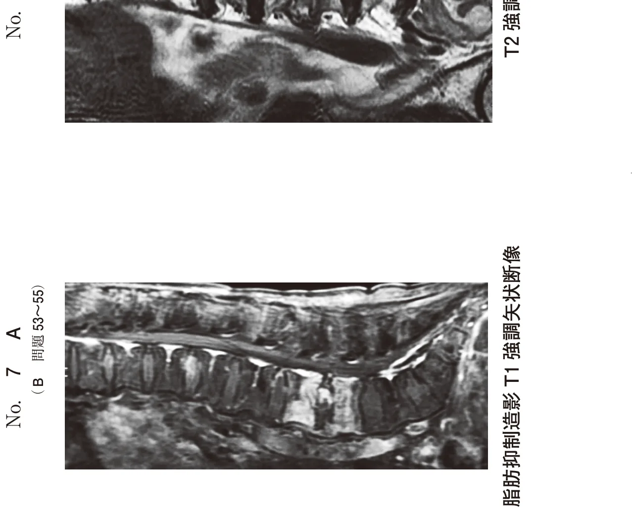 問題の図