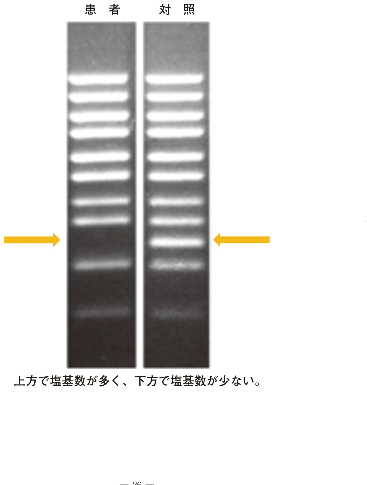 問題の図