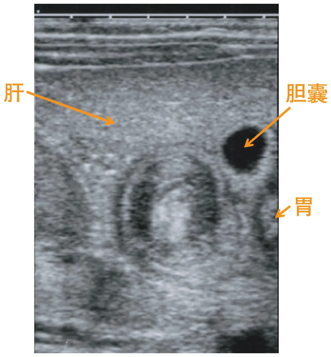 問題の図