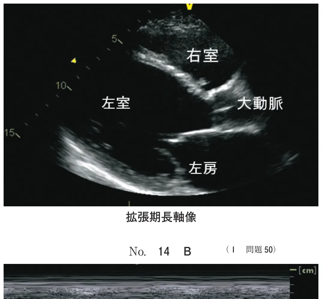 問題の図