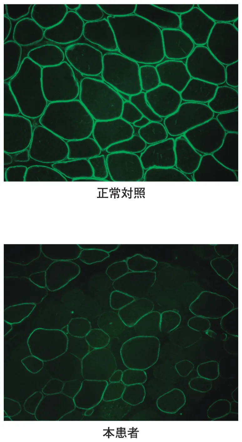 問題の図