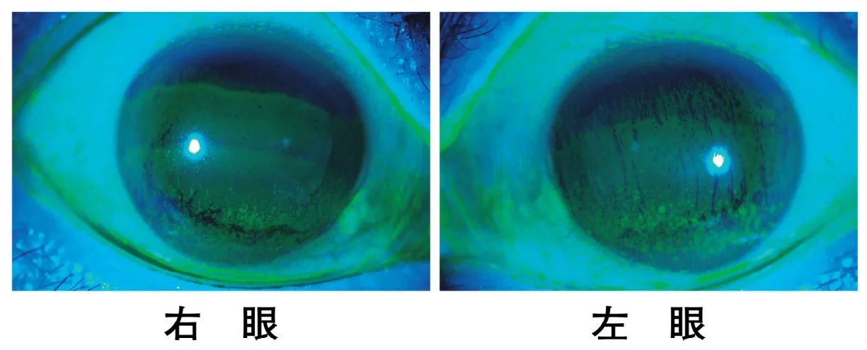 問題の図