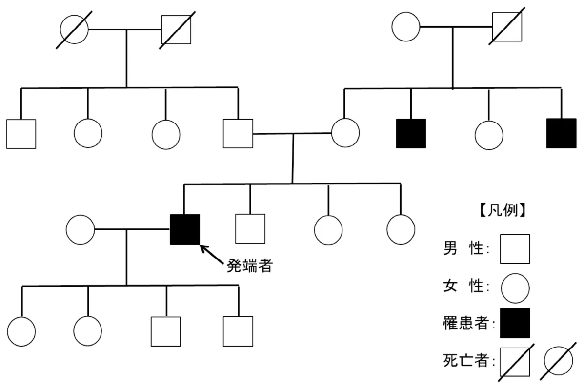 問題の図