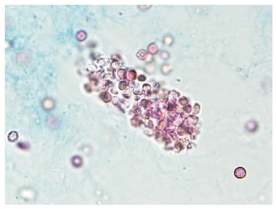 問題の図