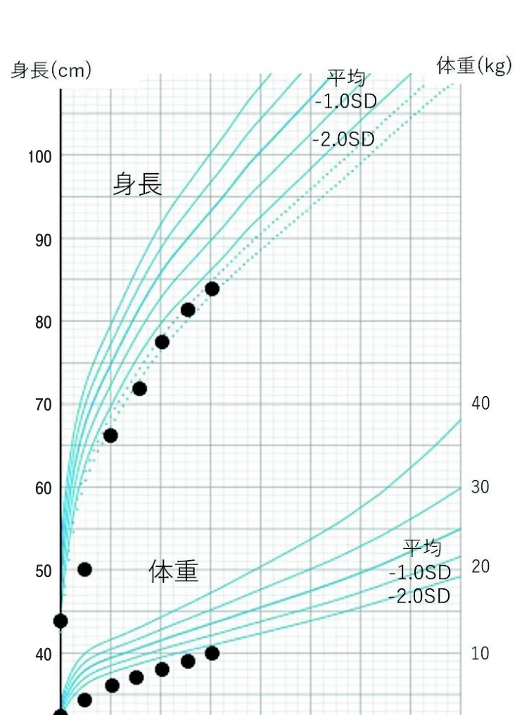 問題の図