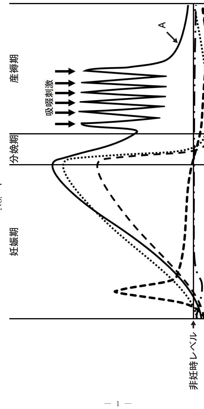 問題の図