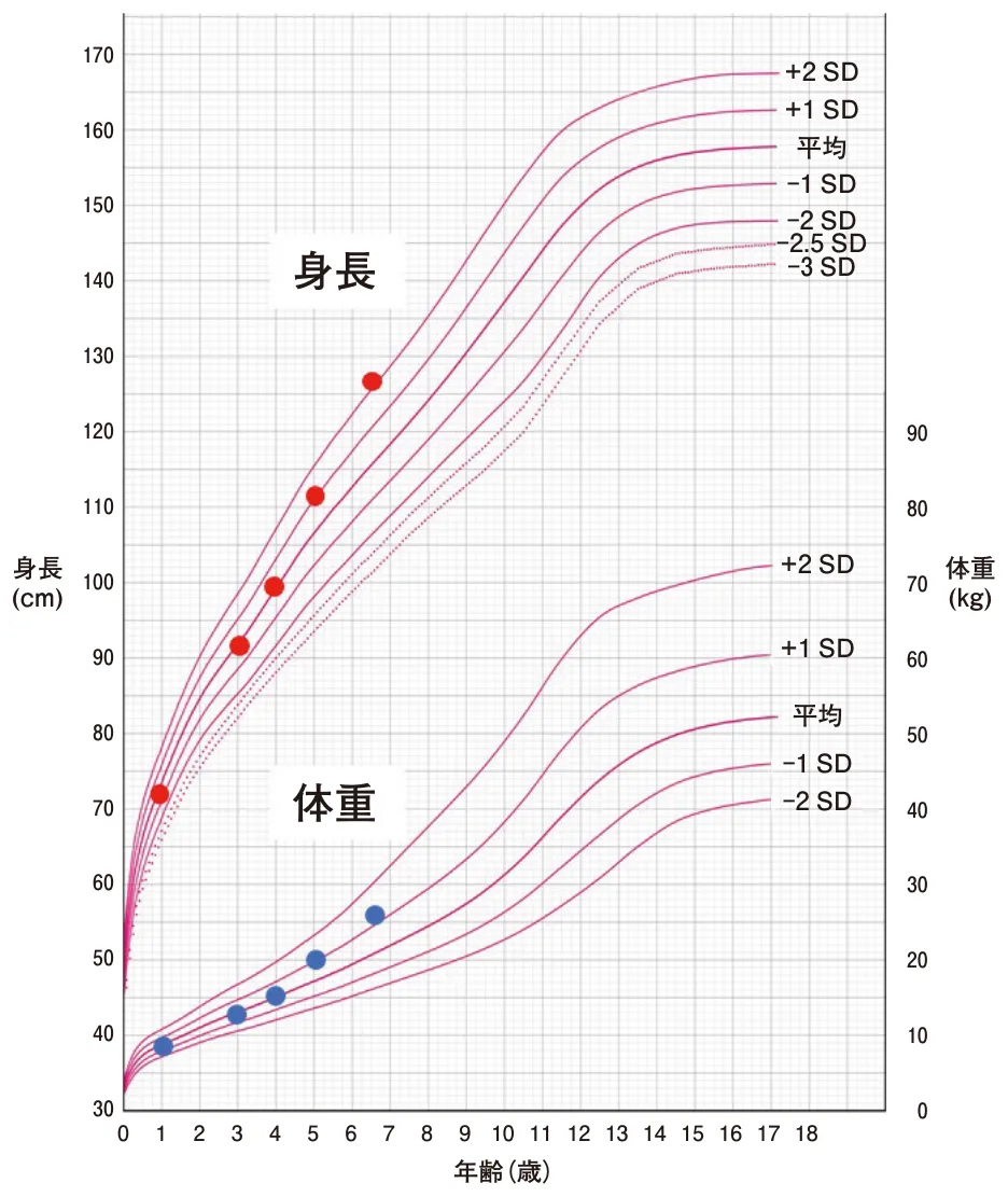 問題の図