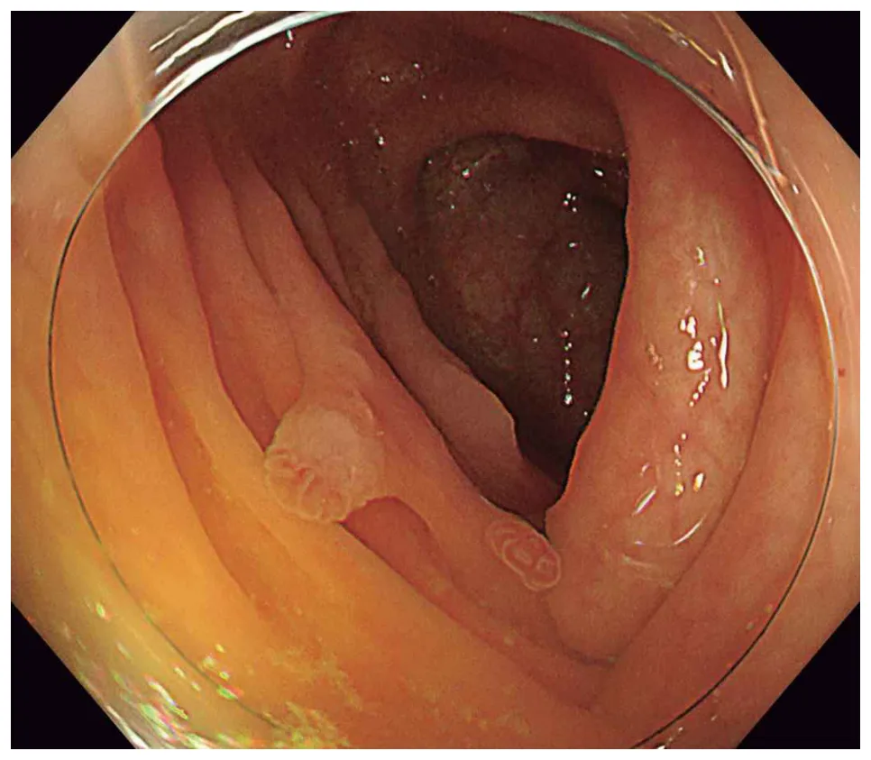 問題の図