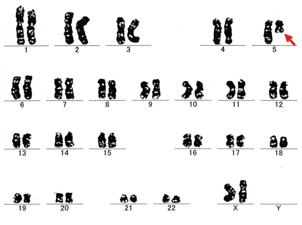 問題の図