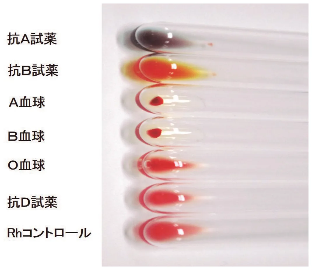 問題の図