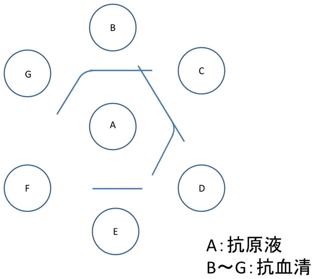 問題の図