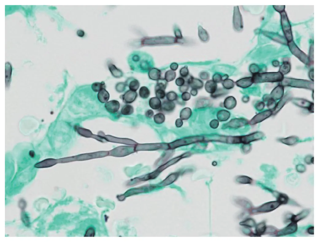 問題の図