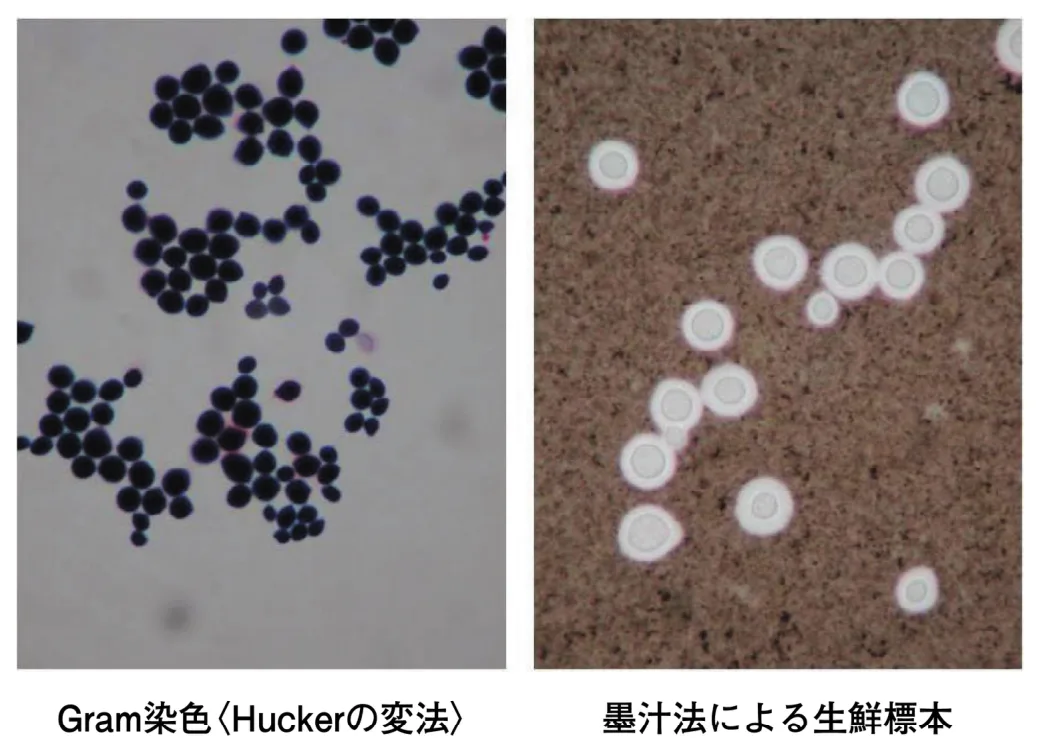 問題の図