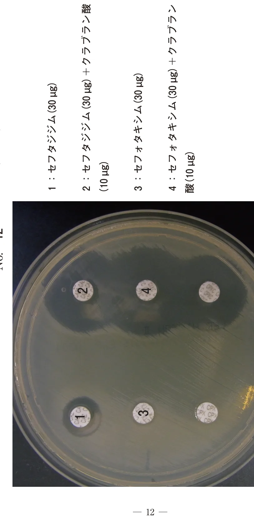 問題の図
