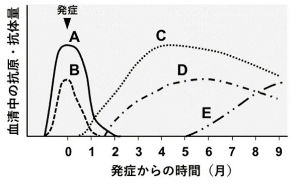 問題の図