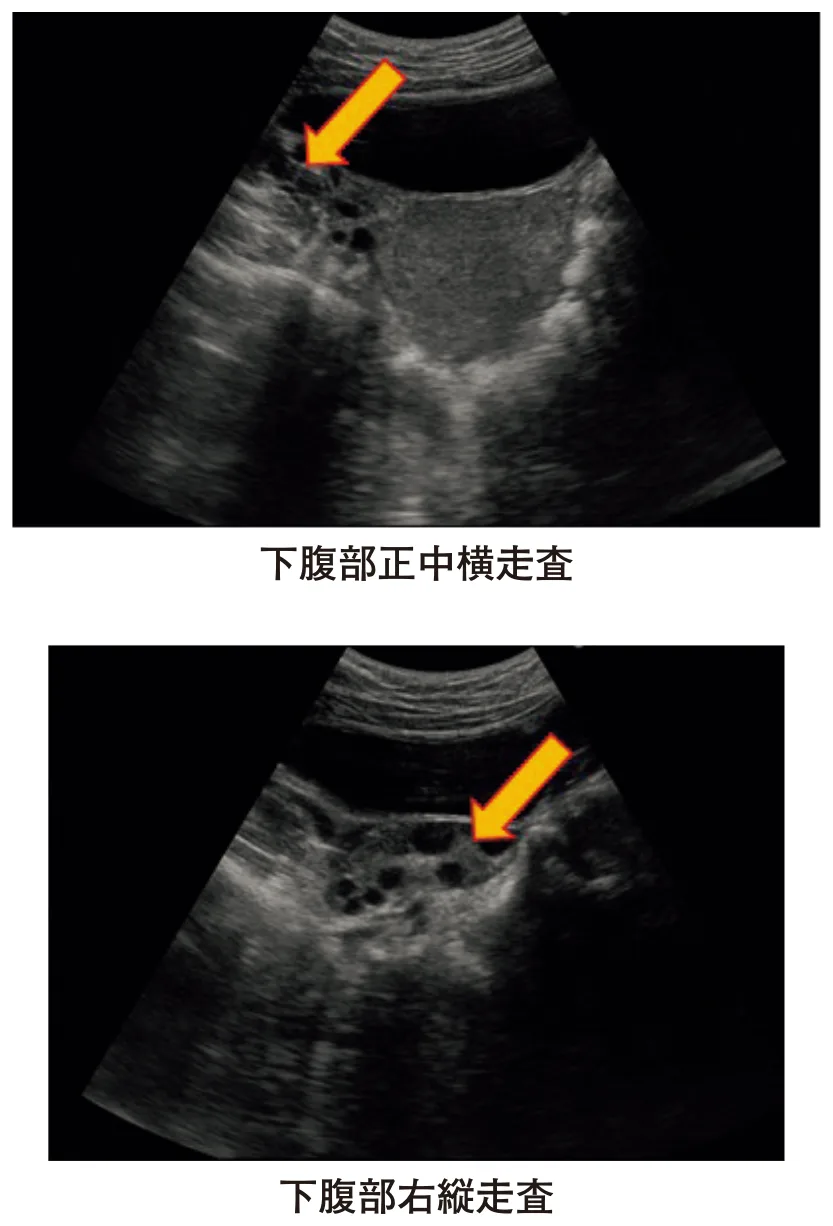 問題の図