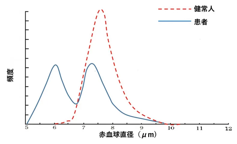 問題の図