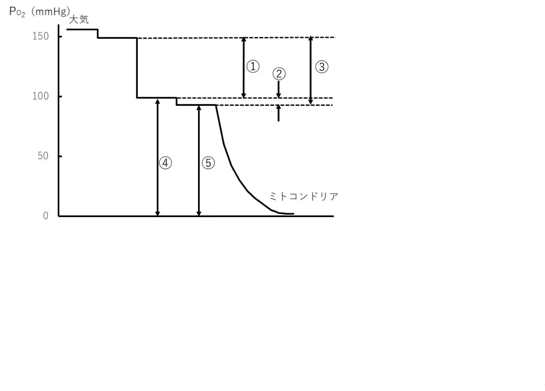 問題の図