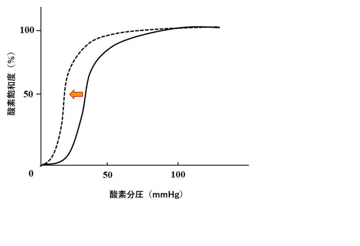 問題の図