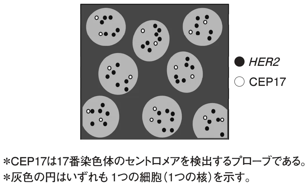 問題の図