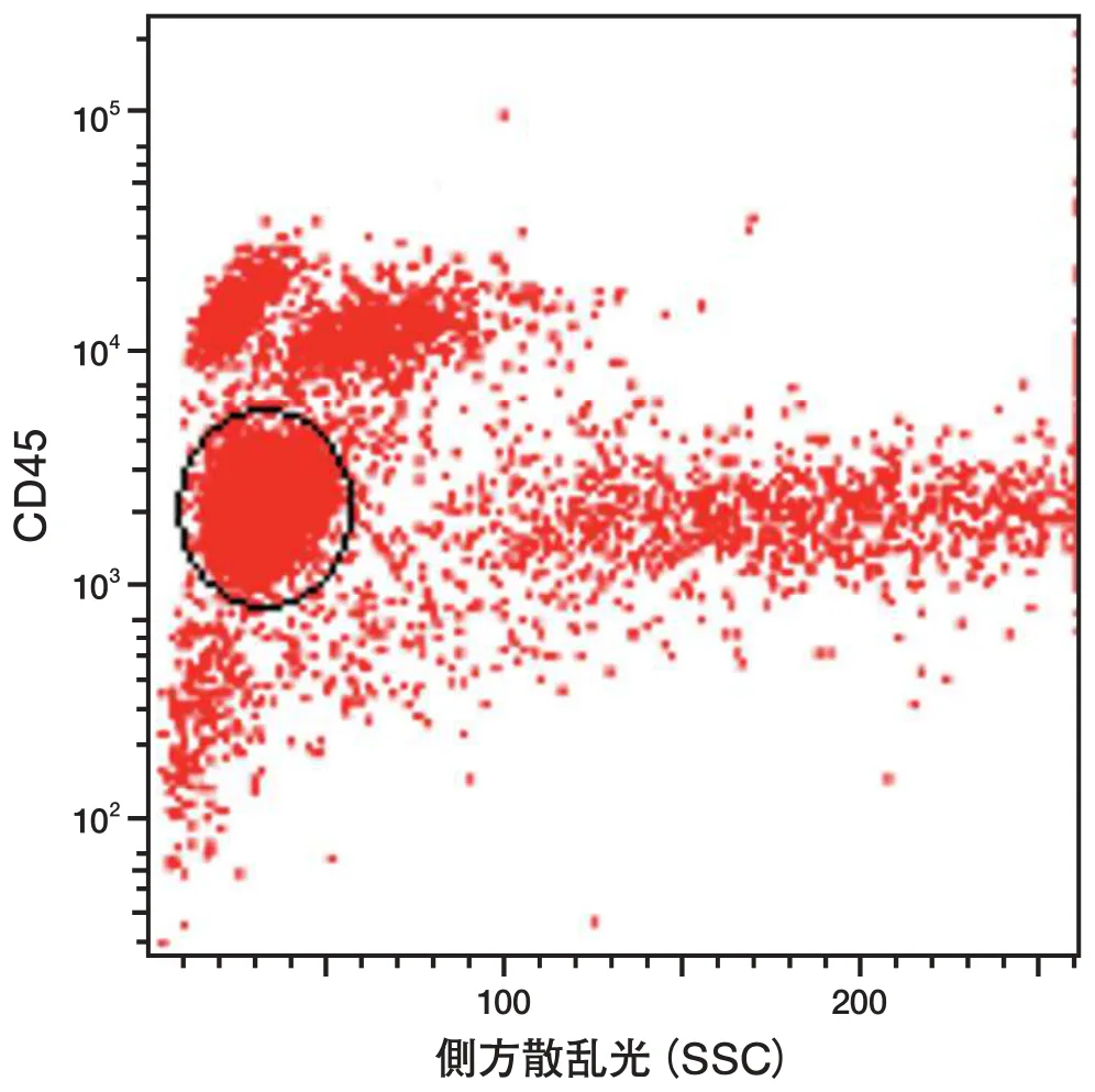 問題の図