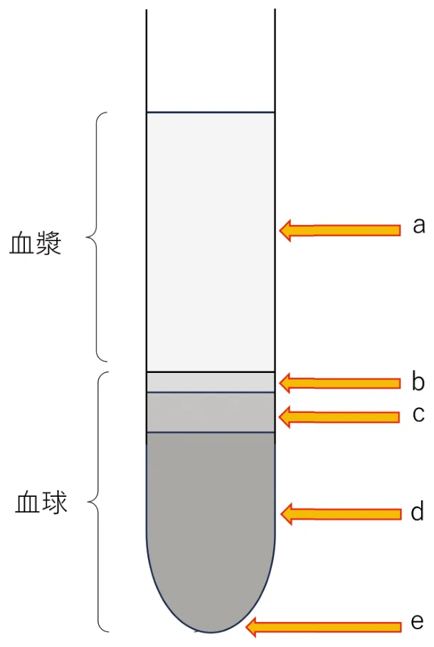 問題の図