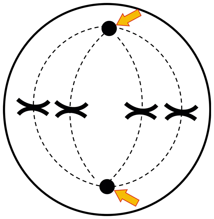 問題の図