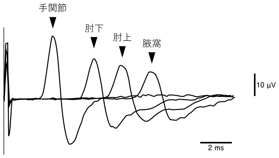 問題の図