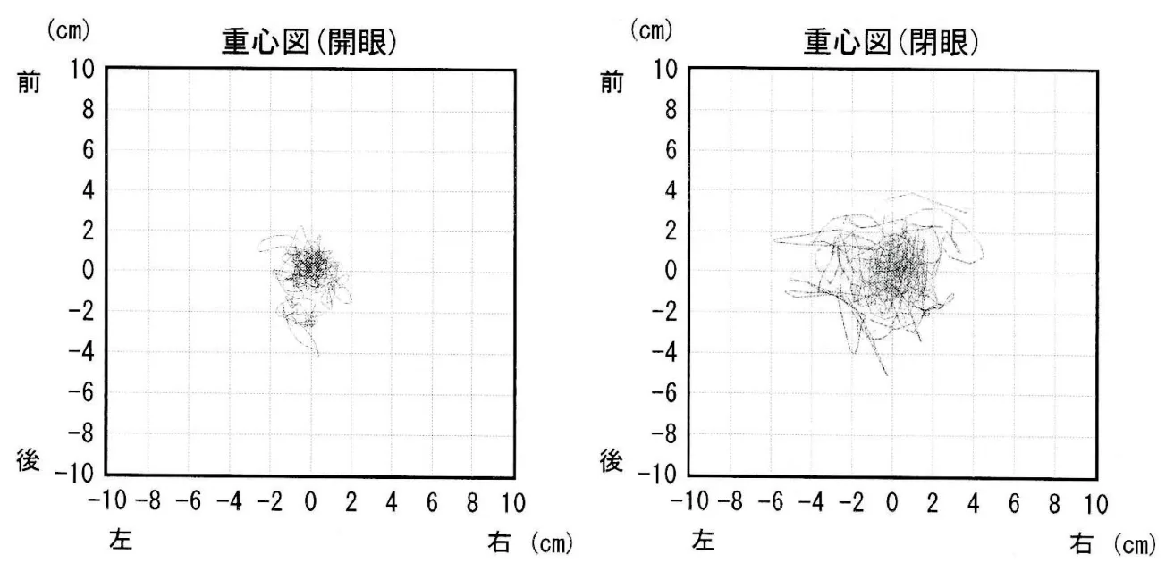 問題の図