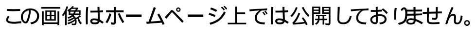 問題の図