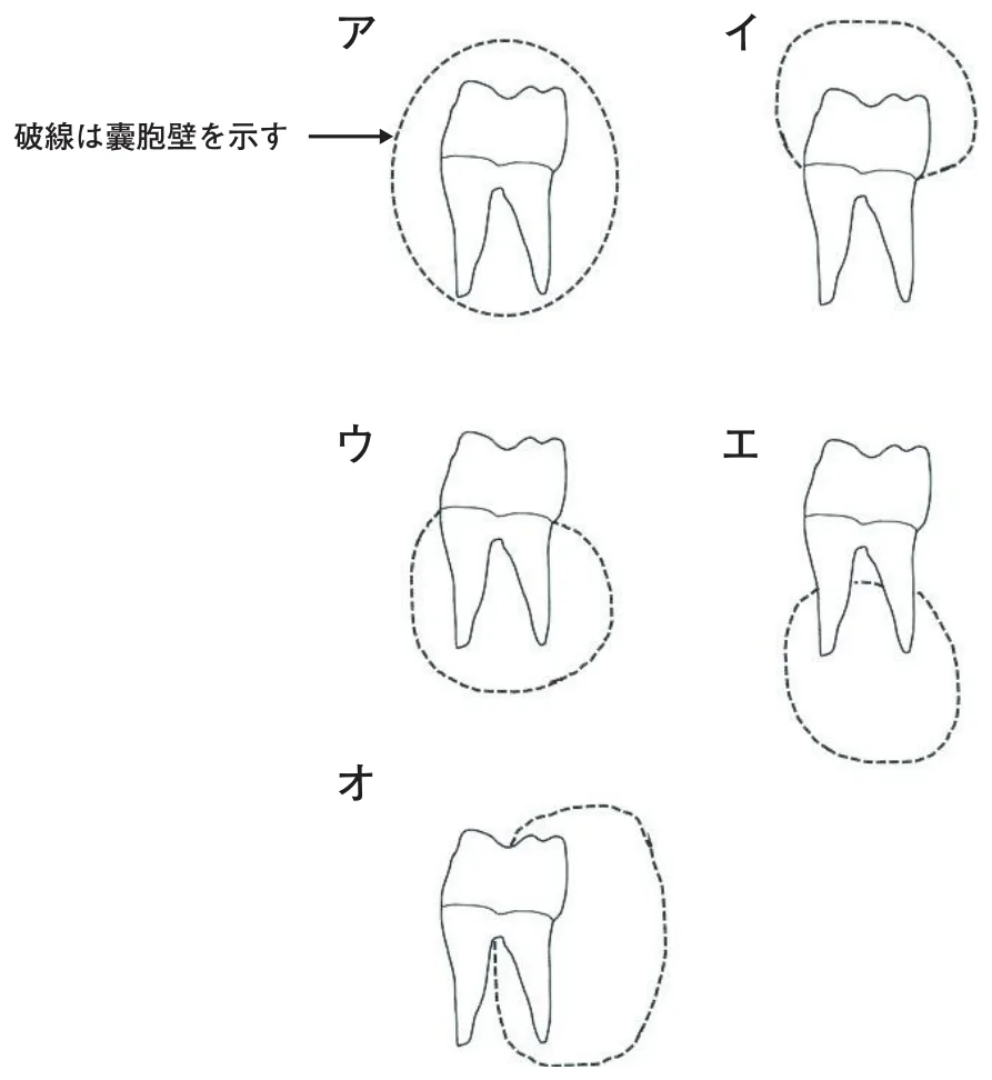 問題の図