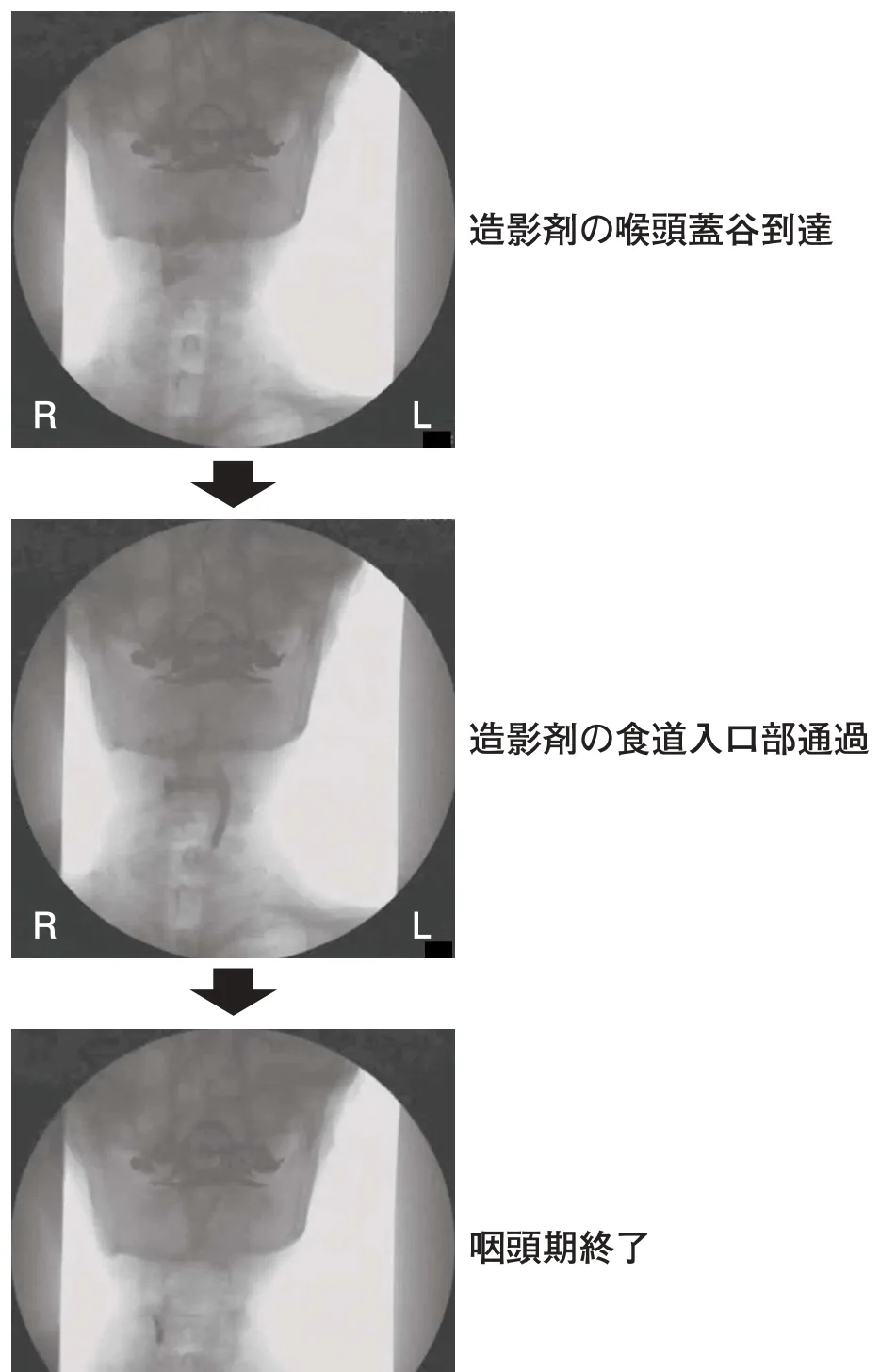 問題の図