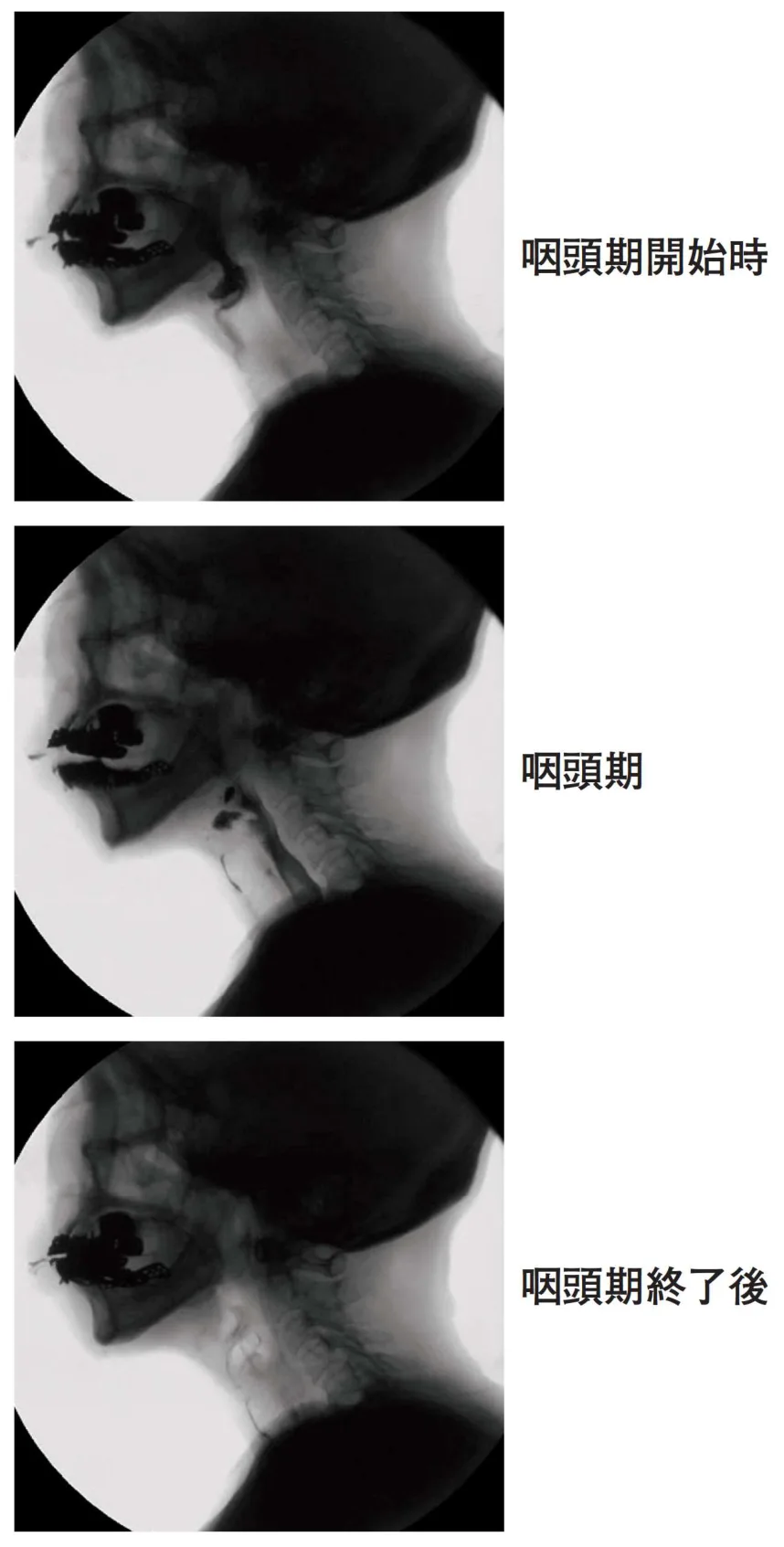 問題の図