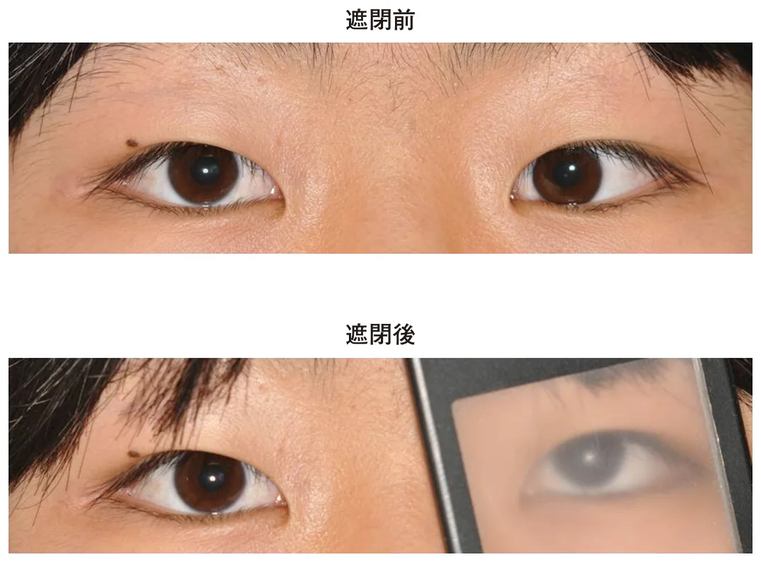 問題の図