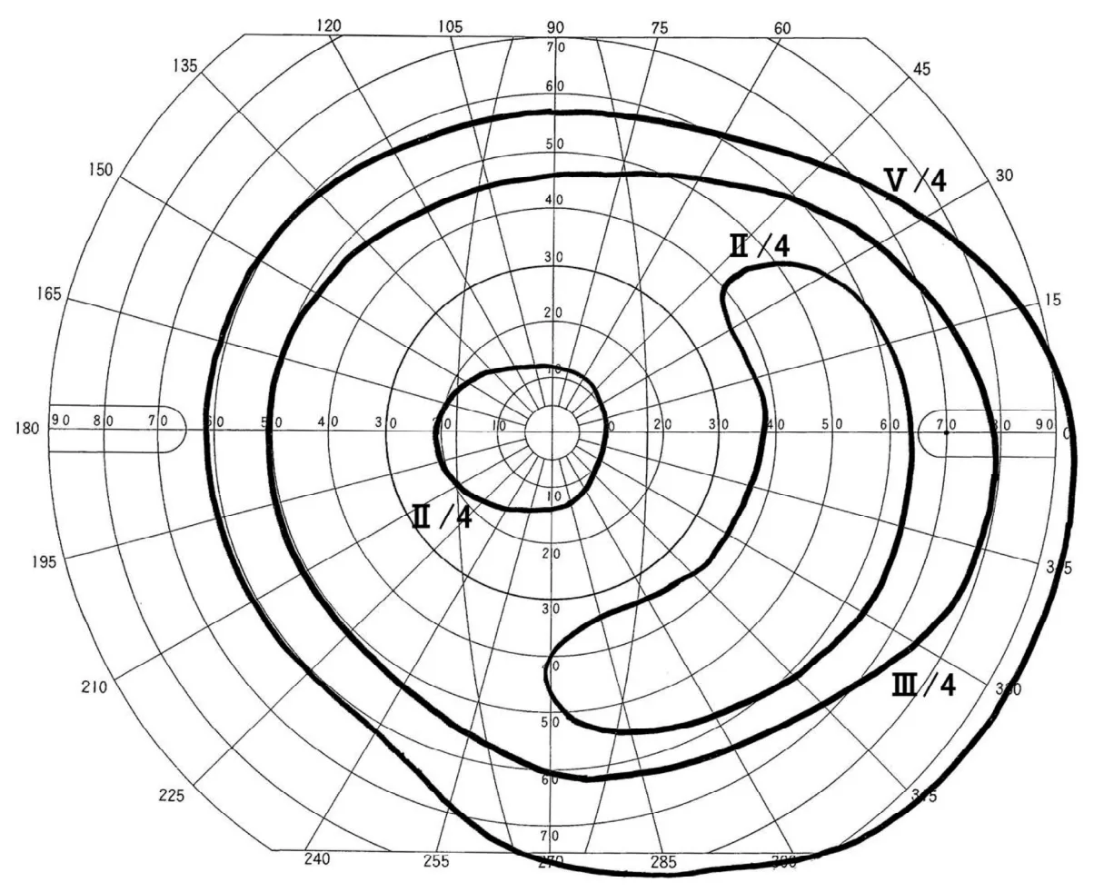 問題の図