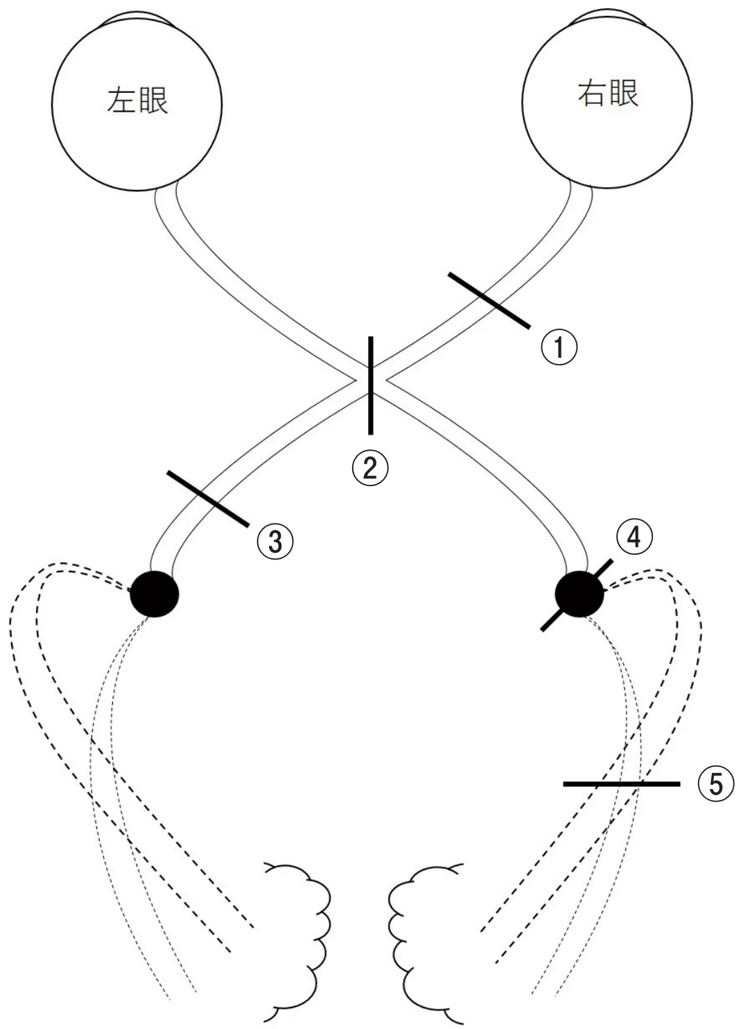 問題の図