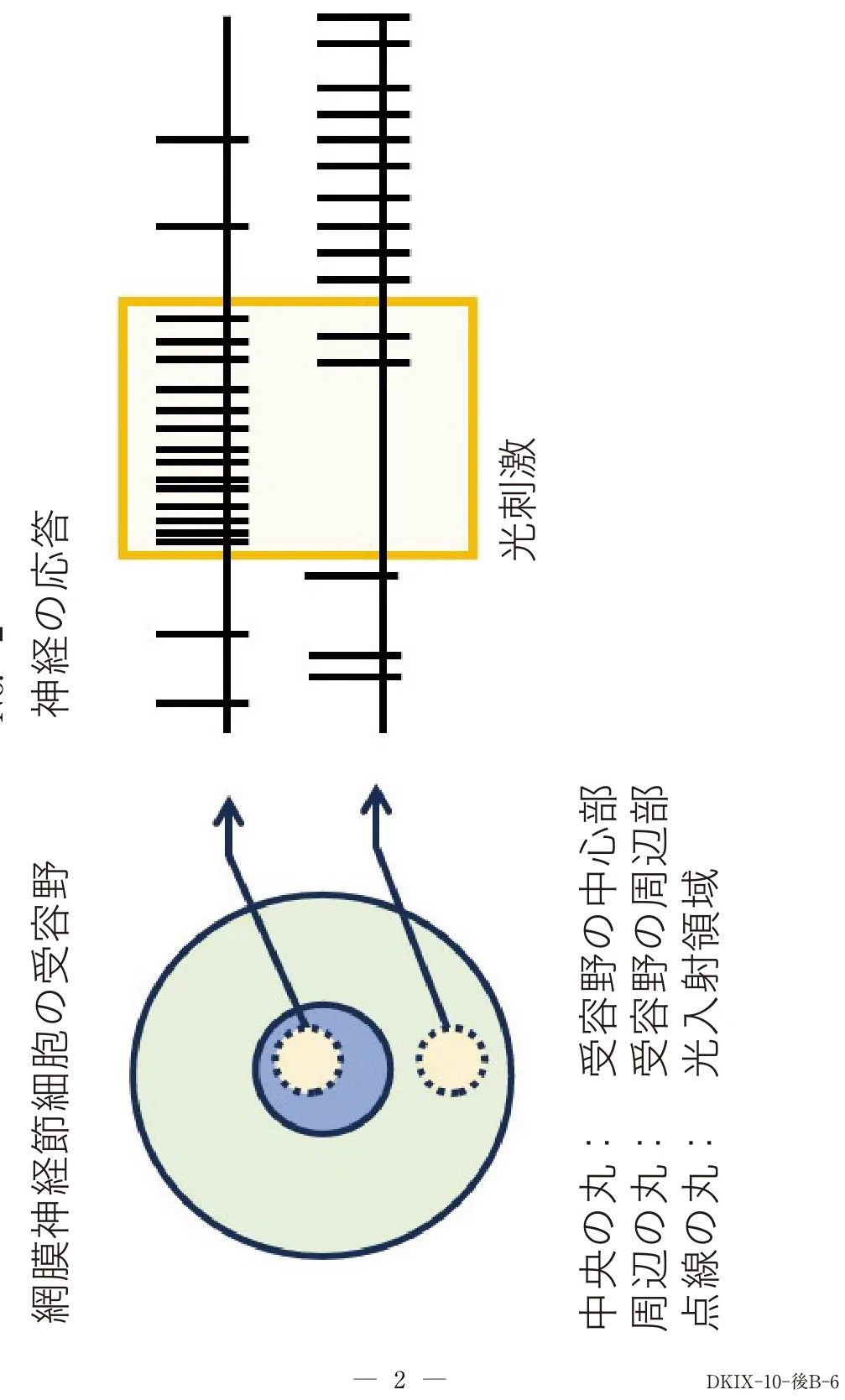 問題の図