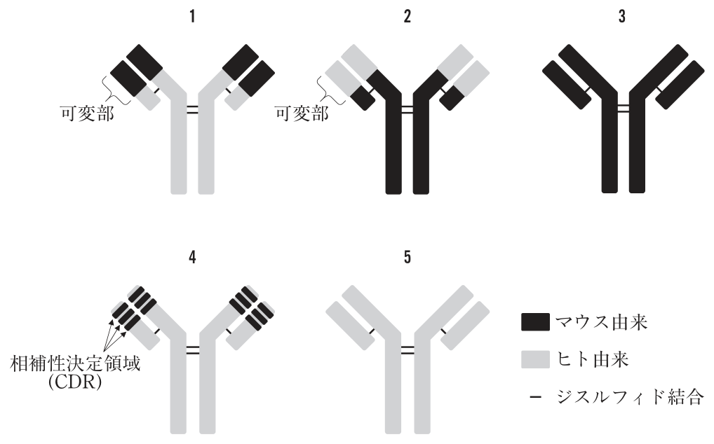 問題の図