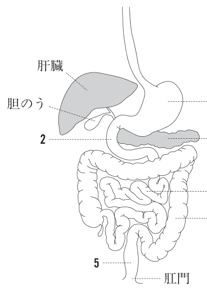 問題の図