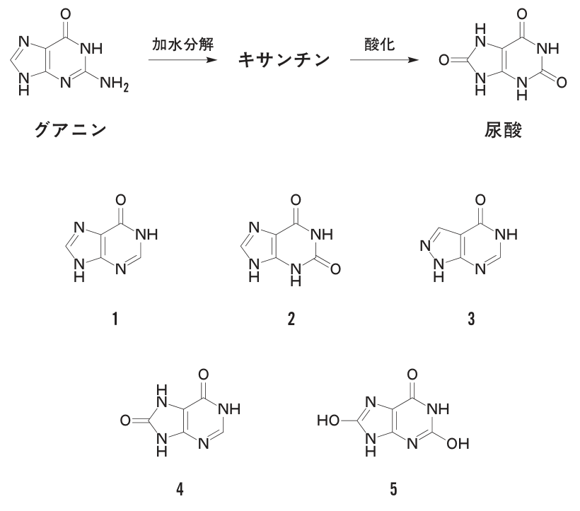 問題の図