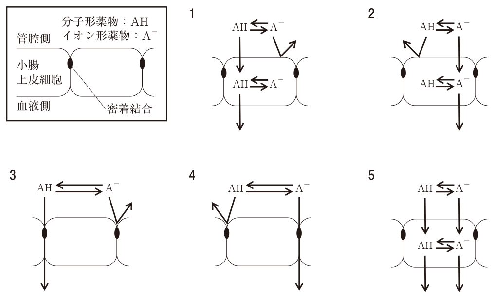 問題の図