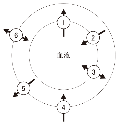 問題の図