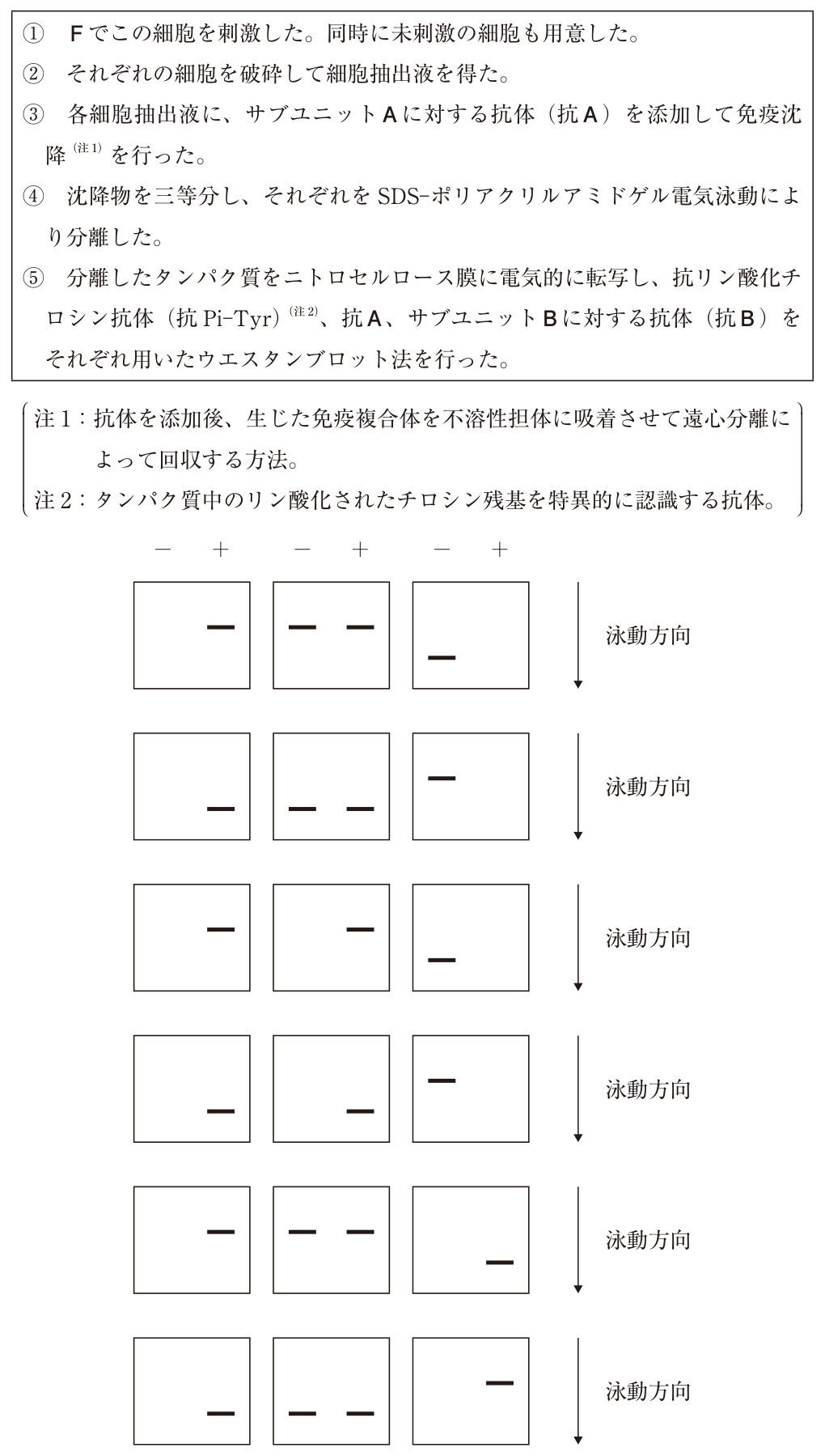 問題の図