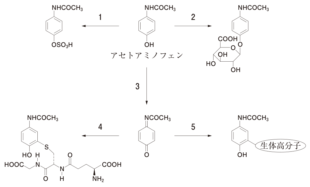 問題の図
