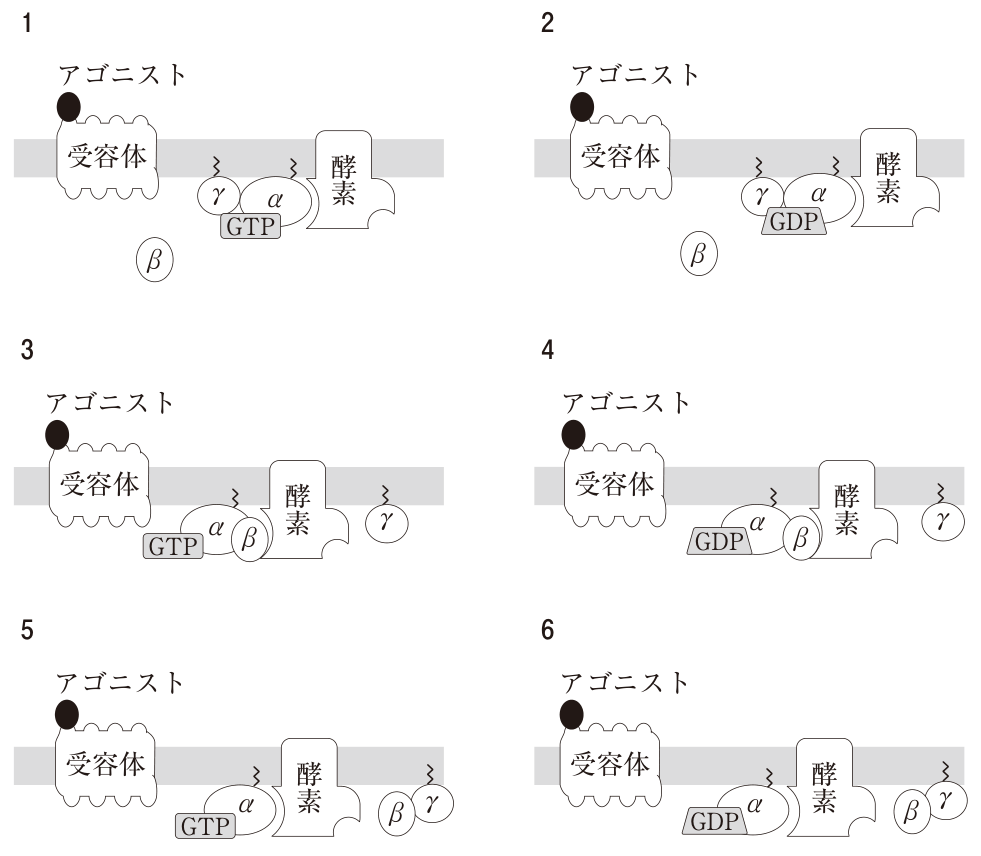 問題の図