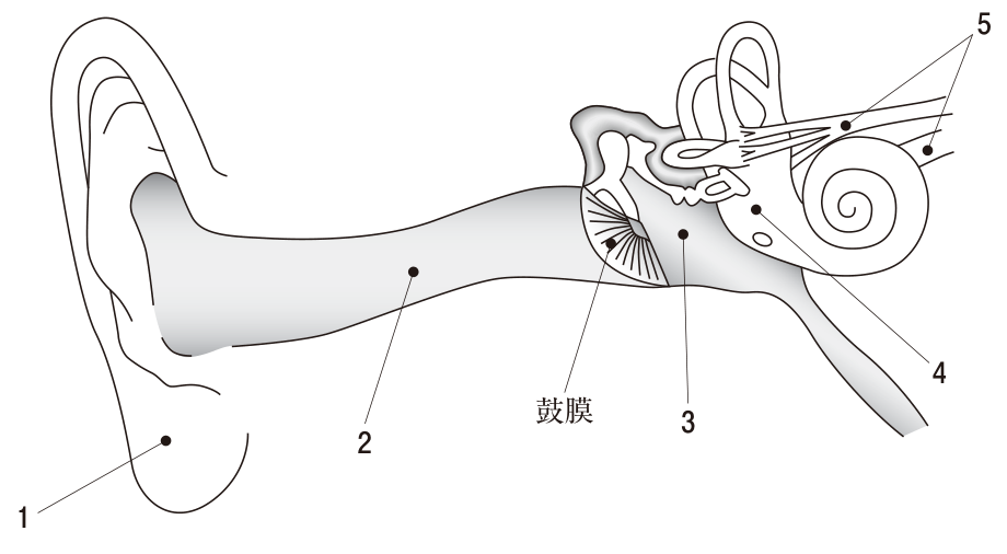 問題の図