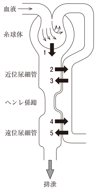 問題の図